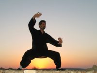 הדרך הדרומית צ'י קונג - Qigong טאי Tai Chi  מיתר