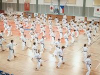 RYOKU-DO קראטה - Karate שוטוקאן Shotokan  אשקלון