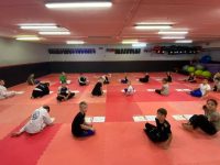 אלמוג בריטש ואילן תורג'מן נהריה אמ.אמ.איי - MMA  איגרוף קלאסי Boxing