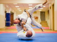 Tree of Life - BJJ  מודיעין מכבים רעות