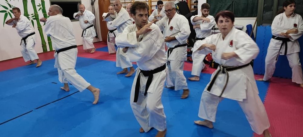 נהריה אריה פרקש  ולוריס עפארה קראטה - Karate