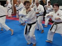 נהריה אריה פרקש  ולוריס עפארה קראטה - Karate