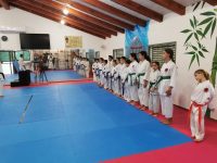 אריה פרקש  ולוריס עפארה נהריה קראטה - Karate