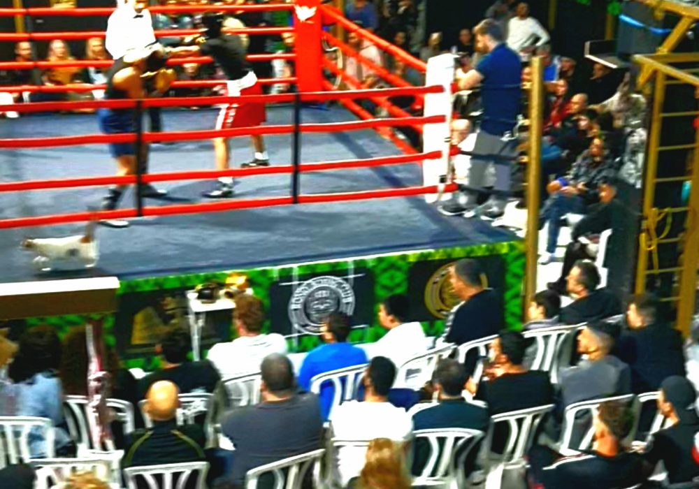 חדרה אקי מישייב איגרוף קלאסי - Boxing 