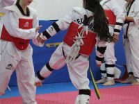 אשדוד דמיאן מינה טאקוונדו - Taekwondo 
