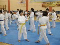 Rehovot Karate קראטה - שוטוקאן Shotokan  רחובות