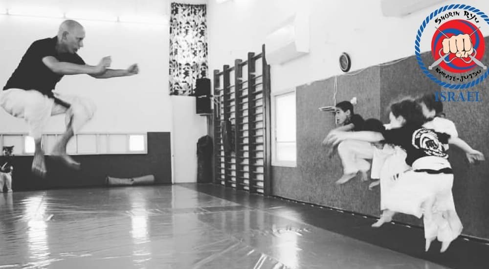 אורי וולף רחובות ג'וג'יטסו יפני - Jujutsu  קובודו Kobudo קראטה Karate שורין ריו Shorin-Ryu