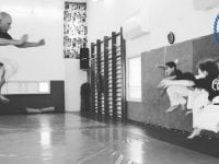 אורי וולף רחובות ג'וג'יטסו יפני - Jujutsu  קובודו Kobudo קראטה Karate שורין ריו Shorin-Ryu