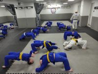 דויד דברשווילי  אשדוד ג'ודו - Judo
