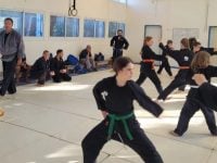 רעם מנצור פרדס חנה כרכור נינג'יטסו - Ninjutsu  קרב מגע – Krav Maga