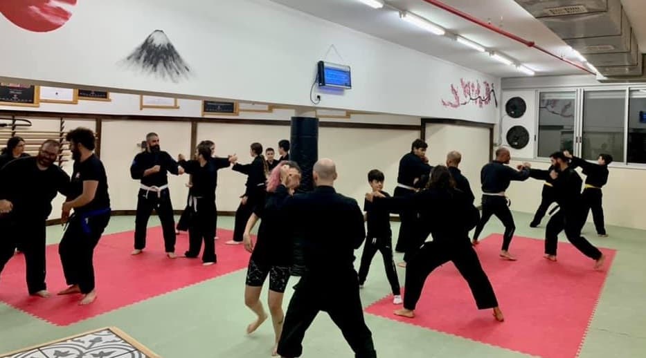 מיקי  רוזנר חיפה נינג'יטסו - Ninjutsu