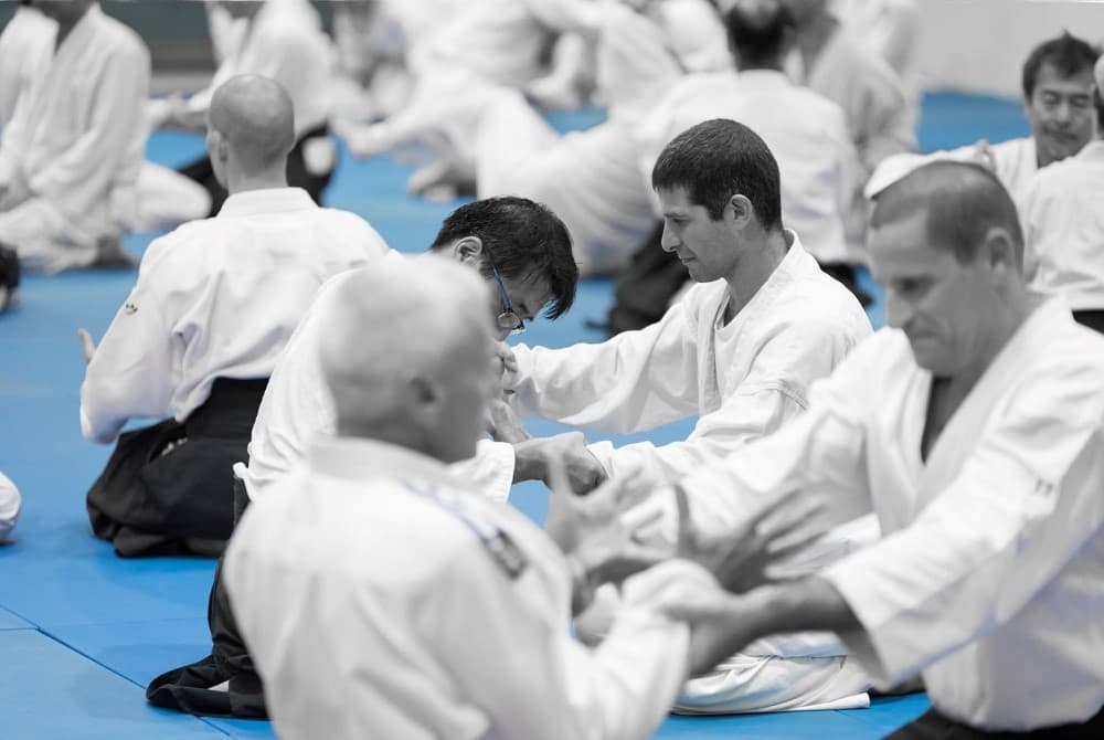 כפר סבא אלי  לרמן אייקידו - Aikido