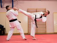 גבריאל דולמון תל אביב יפו טאקוונדו - Taekwondo 