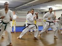 קראטה חמשת היסודות - Karate גוג’ו ריו Goju-Ryu  חרב לאת