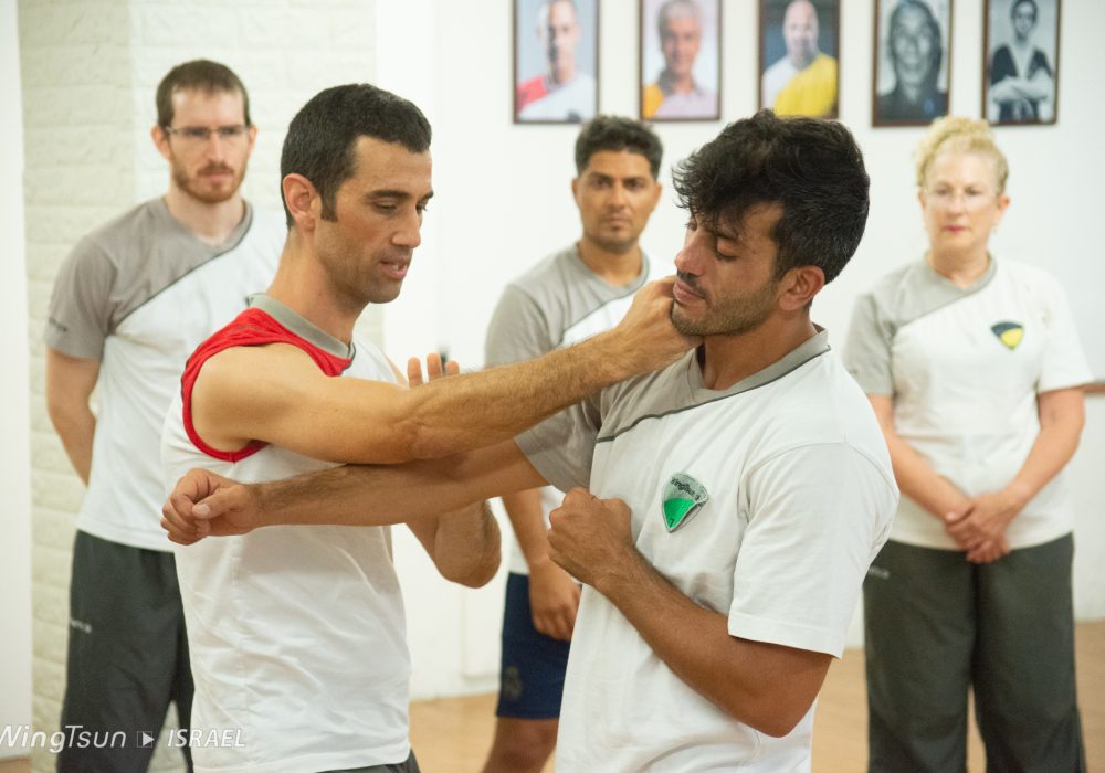 אופק פרא תל אביב יפו קונג פו – Kung Fu  וינג צ'אן - Wing Chun