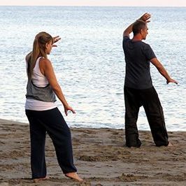 מארק ויסמן מודיעין מכבים רעות צ'י קונג - Qigong  בה גואה BaGua טאי Tai Chi שינג אי צ'ואן Xing Yi Quan