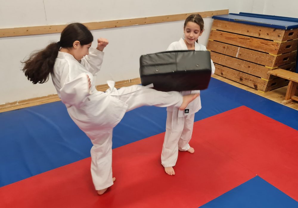 קראטה-קאי קראטה - Karate שוטוקאן Shotokan  הוד השרון