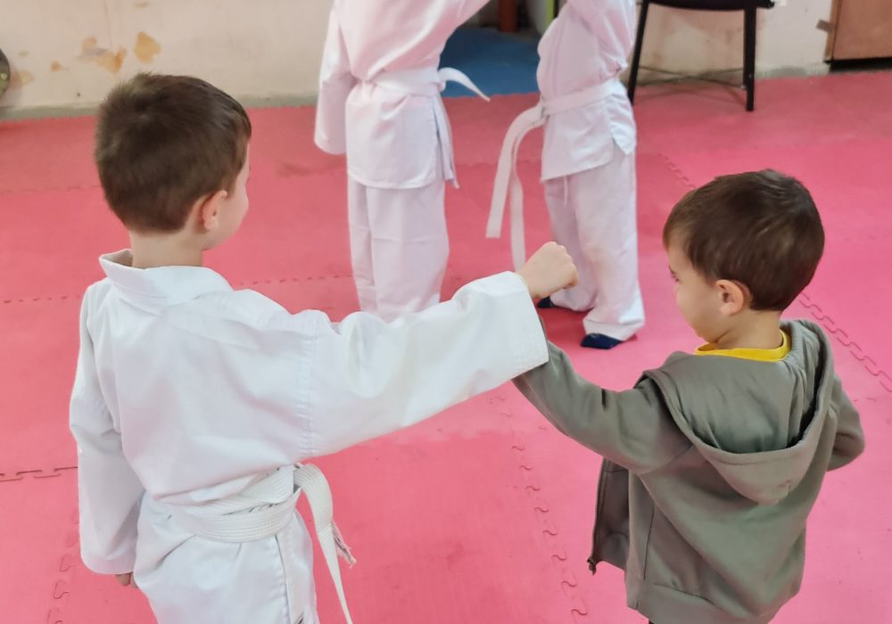 קראטה-קאי קראטה - Karate שוטוקאן Shotokan  הוד השרון