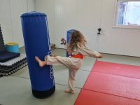 קראטה-קאי קראטה - Karate שוטוקאן Shotokan  הוד השרון