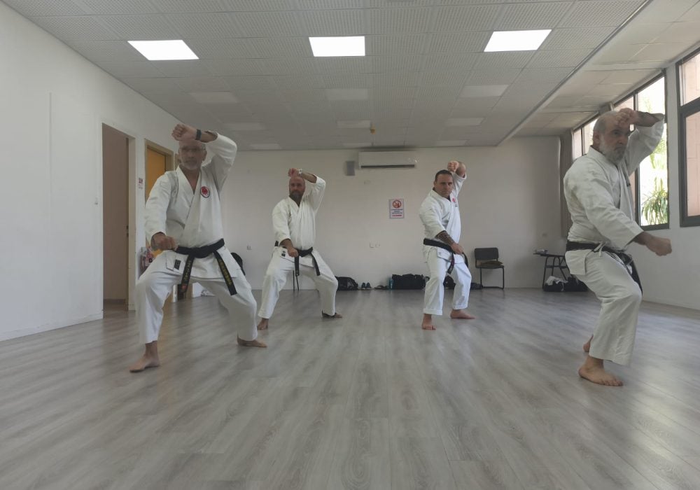 נעם קייקוב הוד השרון קראטה - Karate 