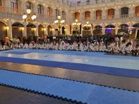 רחלי ברדוגו גבעת זאב אמ.אמ.איי - MMA 