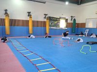 רחלי ברדוגו גבעת זאב אמ.אמ.איי - MMA 