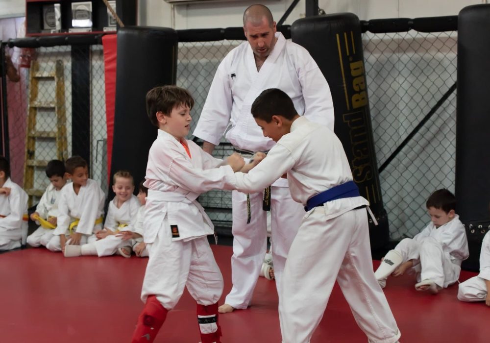  Soul Fighters אמ.אמ.איי - MMA איגרוף תאילנדי Muay Thai נתניה