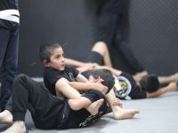 עמוס לביא רחובות אמ.אמ.איי - MMA 