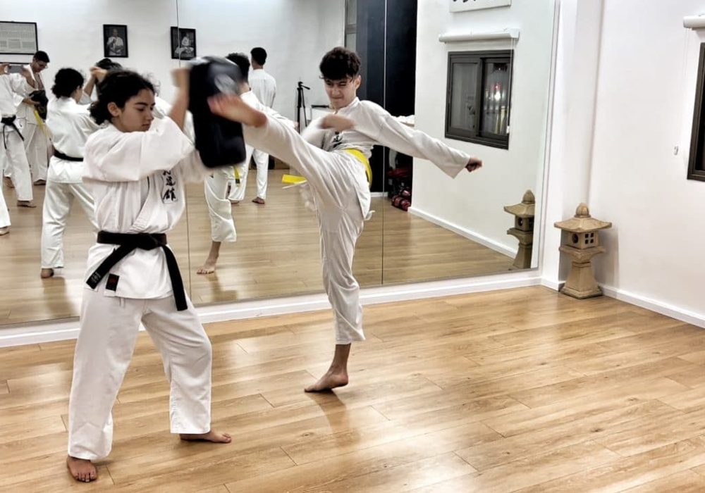 איציק  כהן רמת גן קובודו - Kobudo קראטה Karate