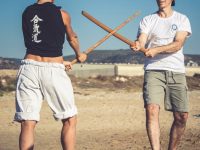חיפה ויטלי לישצ'ינסקי אייקידו - Aikido 
