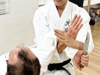 רמת גן איציק  כהן קובודו - Kobudo
