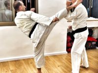 טאי שין קאן קובודו - Kobudo קראטה Karate  רמת גן