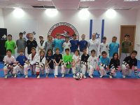 מרק  ברגינסקי ירושלים טאקוונדו - Taekwondo