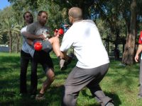 רועי ברדה הוד השרון אומנויות לחימה טיפוליות - Therapeutic 