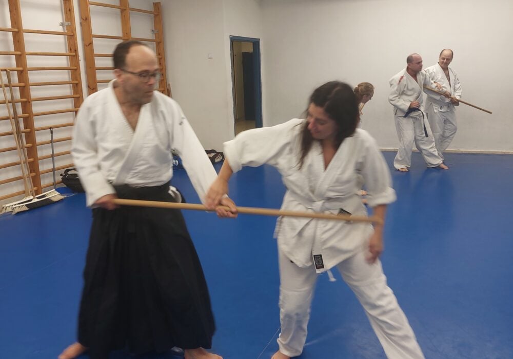 דביר בן-עמי הרצליה אייקידו - Aikido 