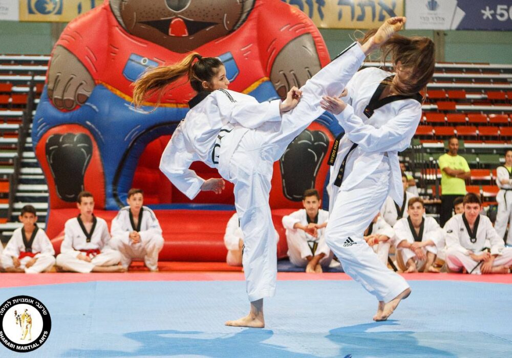 Ness Ziona Taekwondo  נס ציונה