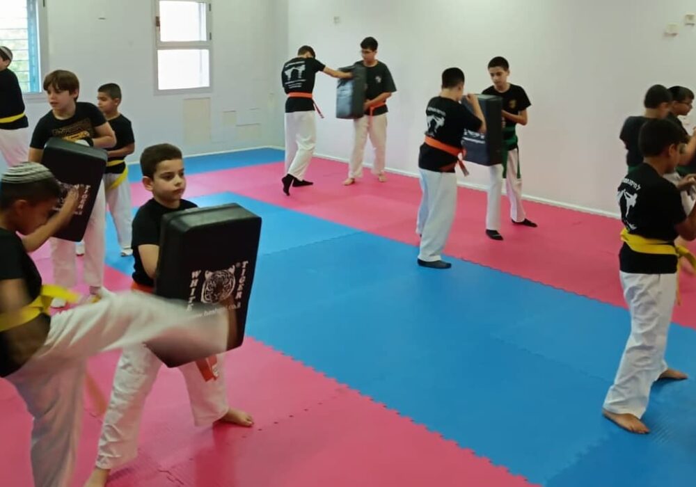 הגנה עצמית ולחימה מלאה MMA רמלה-לוד ג'וג'יטסו יפני - Jujutsu אמ.אמ.איי  רמלה