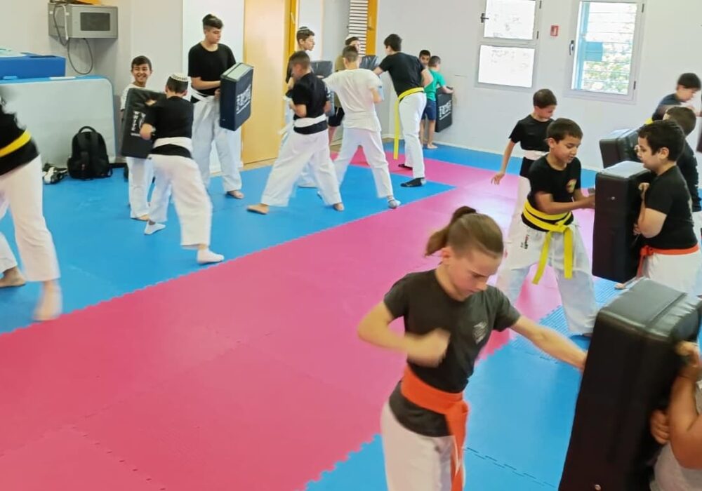 רמלה אבי  בוהדנה ג'וג'יטסו יפני - Jujutsu