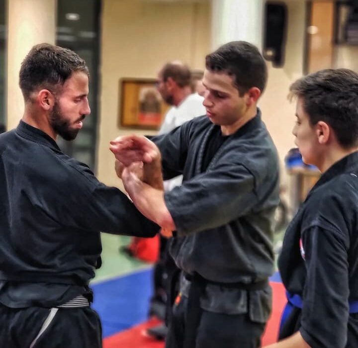 דניס הישרדות ג'וג'יטסו יפני - Jujutsu קראטה Karate  שוהם