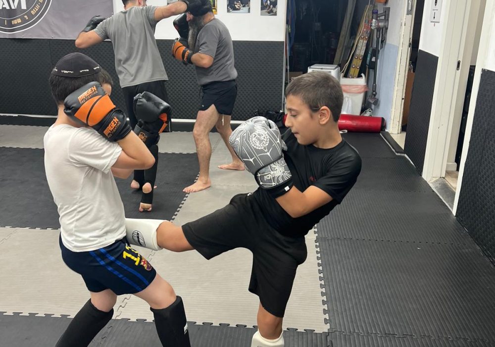 עמוס לביא רחובות אמ.אמ.איי - MMA 