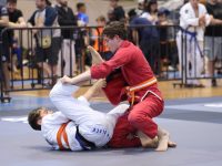 חיפה שלו אלנברג אמ.אמ.איי - MMA 