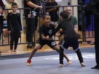 שלו אלנברג חיפה אמ.אמ.איי - MMA  ג'וג'יטסו ברזילאי BJJ