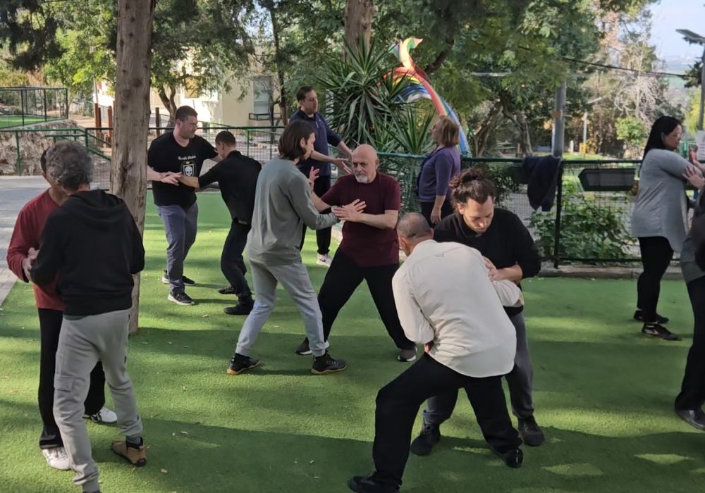 מודיעין מכבים רעות מארק ויסמן צ'י קונג - Qigong  בה גואה BaGua טאי Tai Chi שינג אי צ'ואן Xing Yi Quan