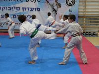לאון קמינקר חיפה קראטה - Karate  שוטוקאן Shotokan