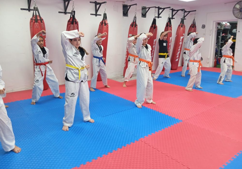 ליאור אלקיים רמת השרון טאקוונדו - Taekwondo 