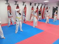 ליאור אלקיים רמת השרון טאקוונדו - Taekwondo 
