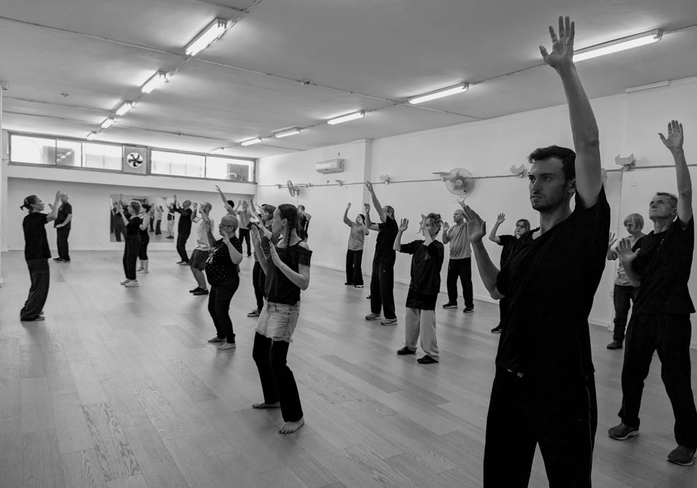 תל אביב יפו מדריכי המרכז צ'י קונג - Qigong  בה גואה BaGua טאי Tai Chi שינג אי צ'ואן Xing Yi Quan