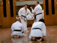 ירון  בן שחר חיפה קובודו - Kobudo קראטה Karate