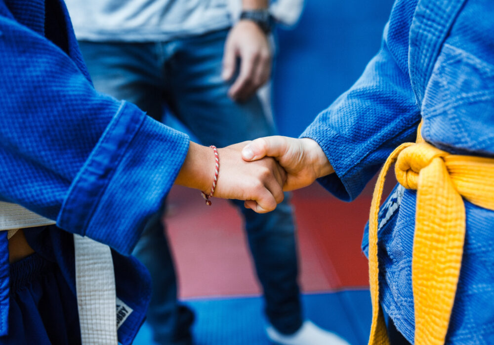 אריה מיכאלובסקי נוף הגליל נצרת עילית ג'ודו - Judo 