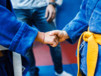 אריה מיכאלובסקי נוף הגליל נצרת עילית ג'ודו - Judo 
